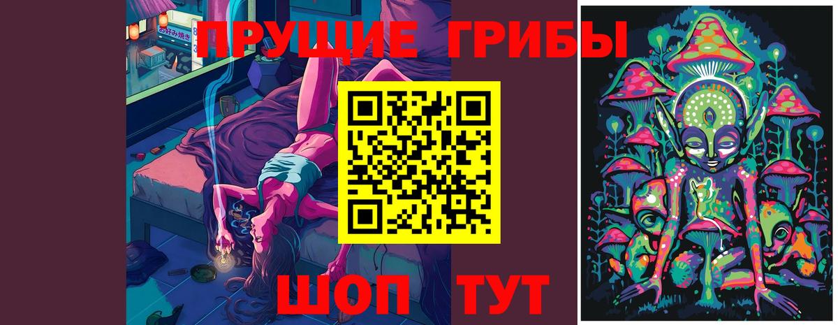 Кропоткин  Галлюциногенные грибы мицелий  Вход с VPN 